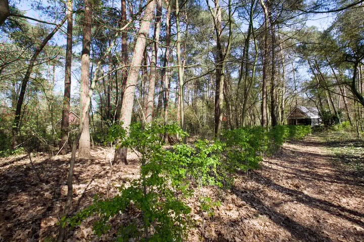 Photo 3 of Kattenbergweg bouwkavels plan Sylvestra