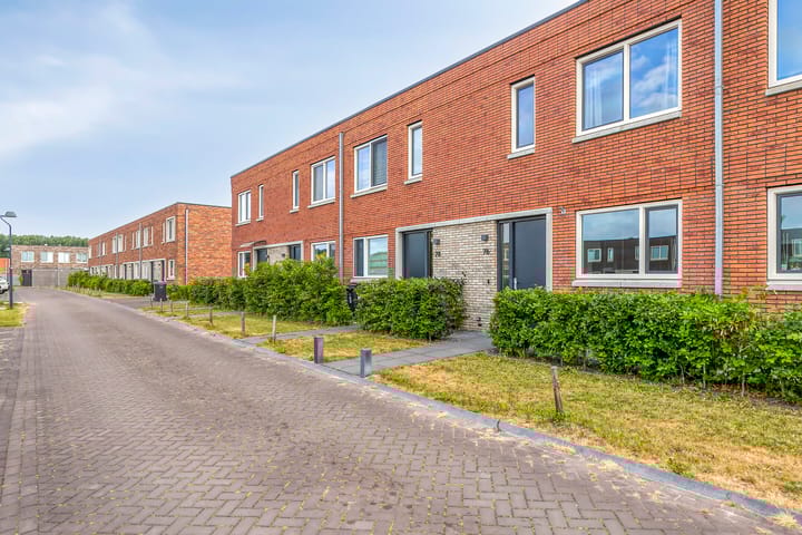 undefined main image