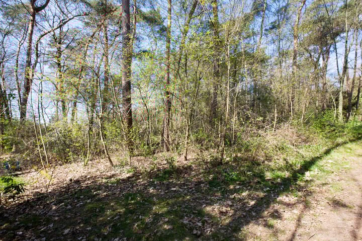 Foto 5 van Kattenbergweg 1-144