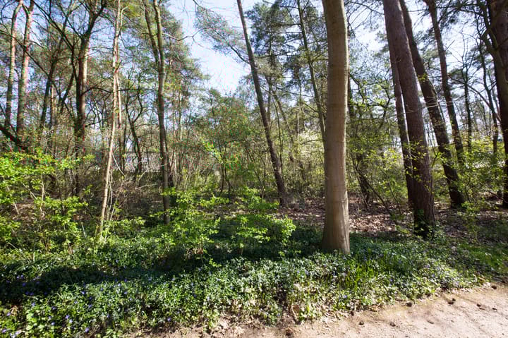 Foto 6 van Kattenbergweg 1-144