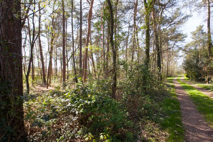 Foto 7 van Kattenbergweg 1-144