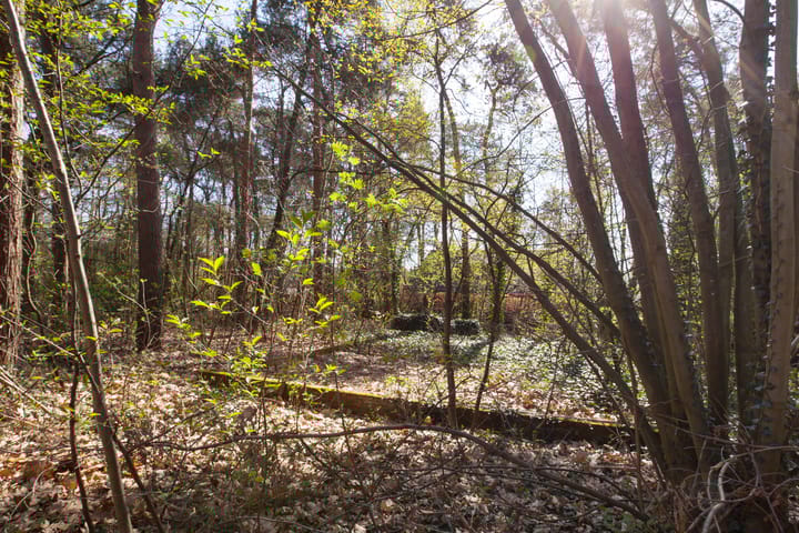 Foto 9 van Kattenbergweg 1-144