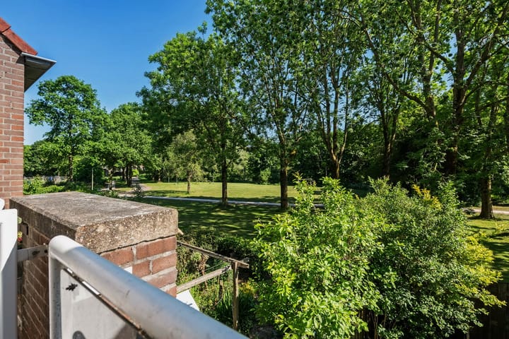 Foto 15 van Roerdompweide 19