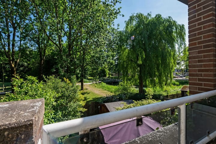 Foto 16 van Roerdompweide 19