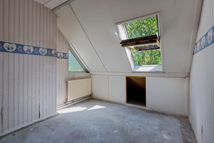 Foto 19 van Roerdompweide 19