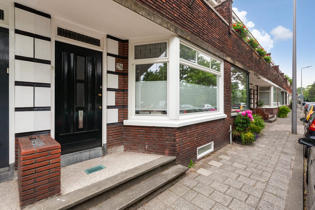 Foto 52 van West-Sidelinge 286