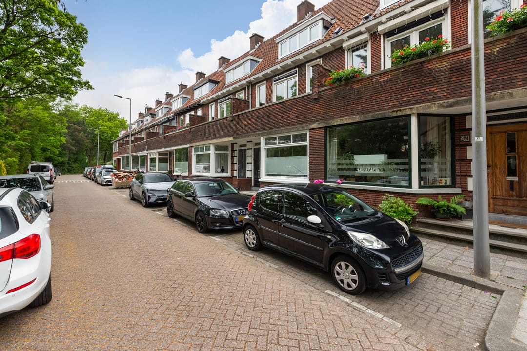 Foto 53 van West-Sidelinge 286