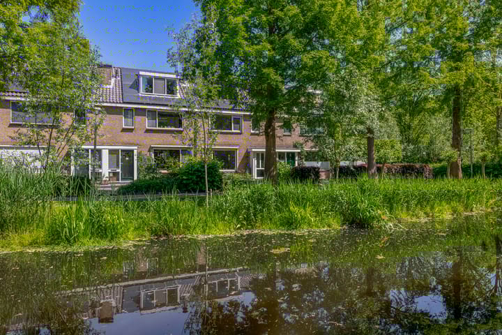 Foto 4 van Sleedoornsingel 4