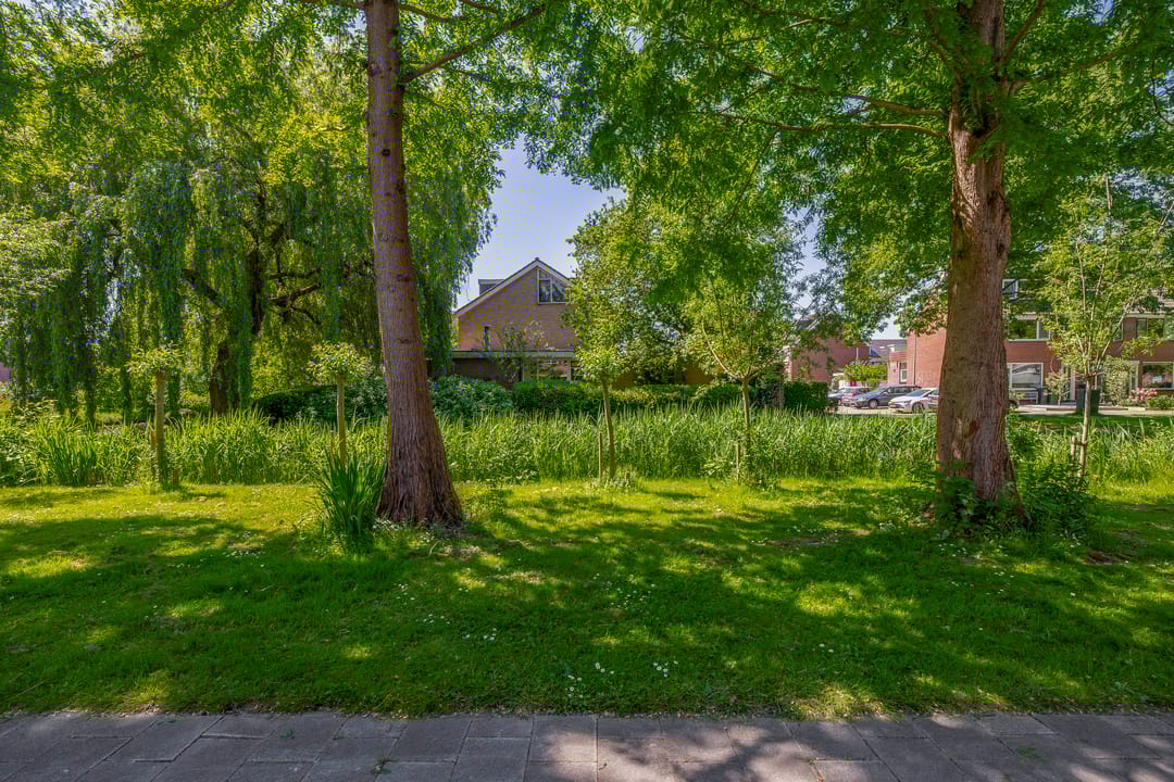 Foto 37 van Sleedoornsingel 4