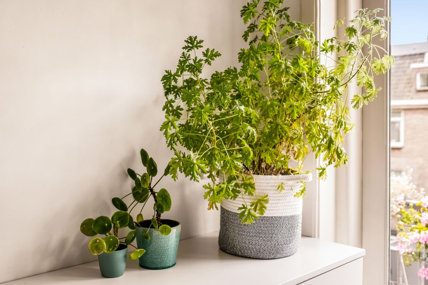 Photo 14 of Rooseveltlaan 183-2