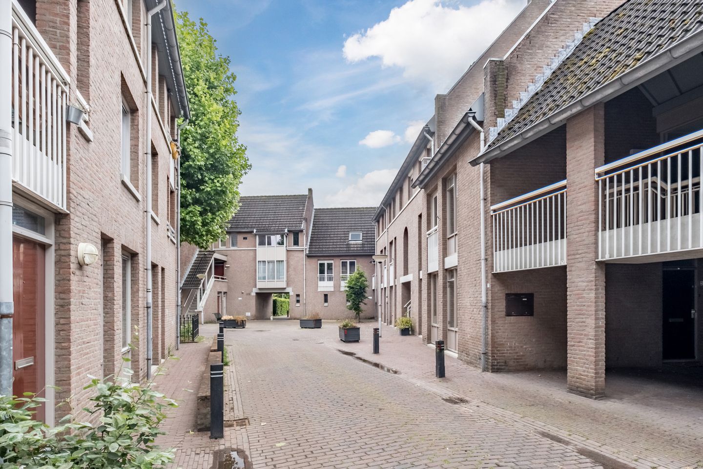 Foto 34 van de Moriaan 27