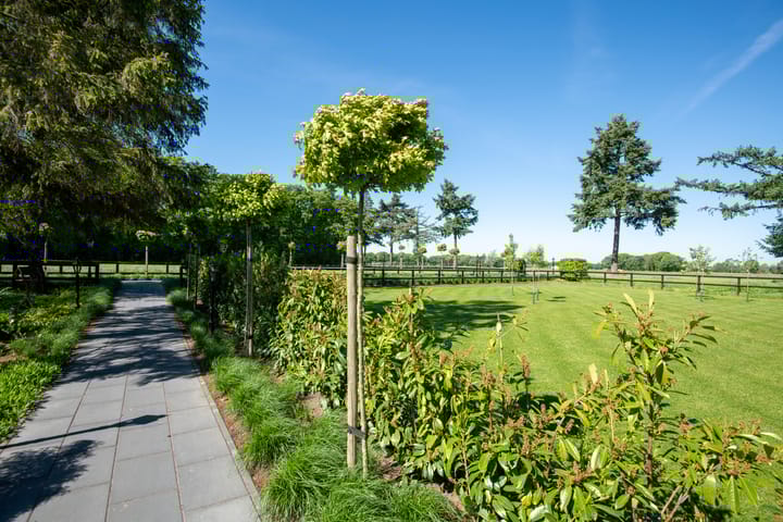 Foto 42 van Jolinkdijk 6