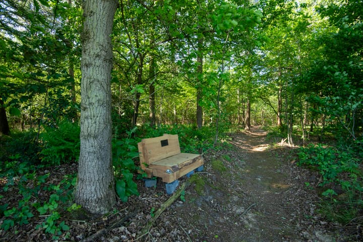 Foto 44 van Jolinkdijk 6