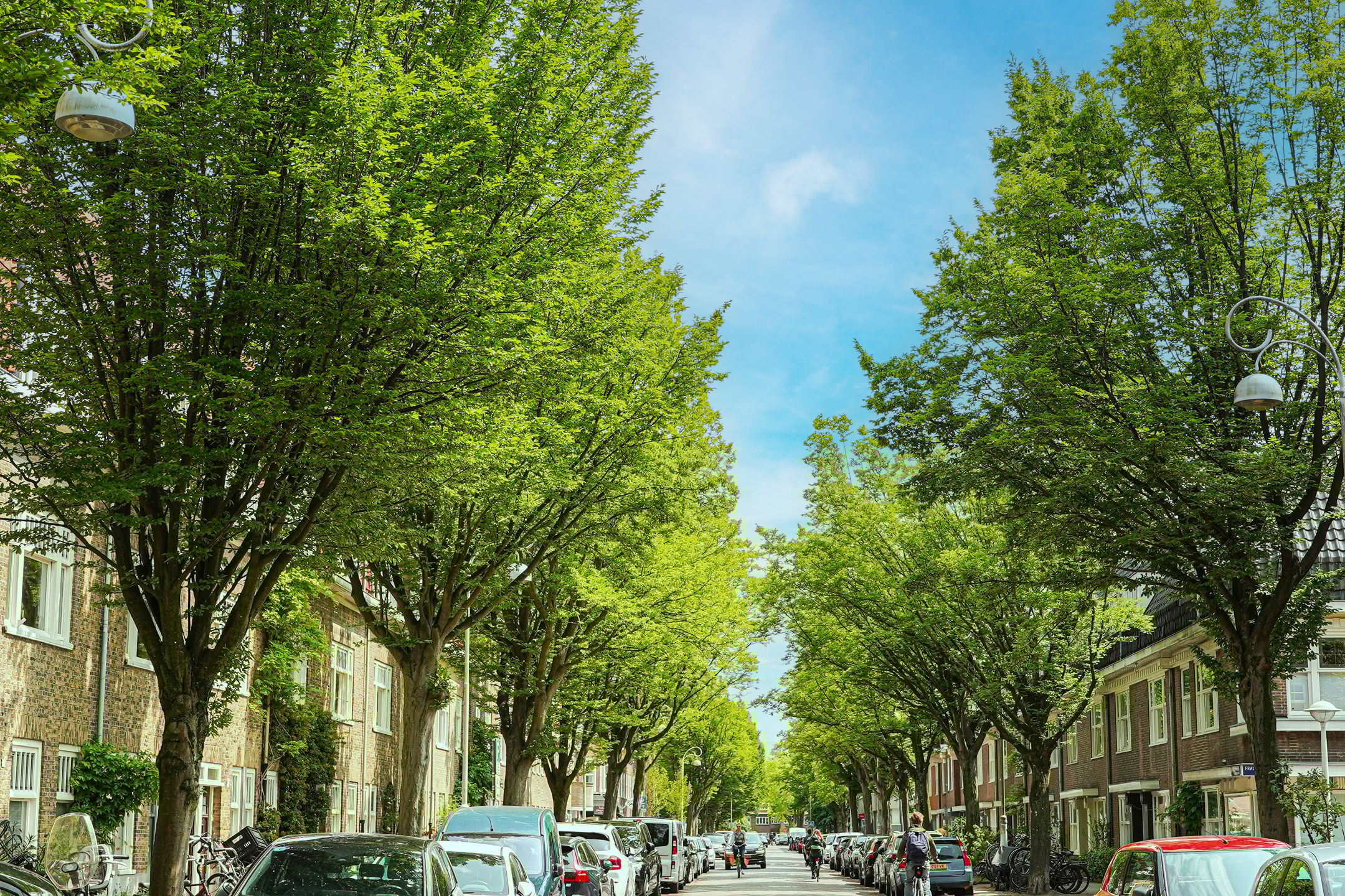 Foto 51 van Linnaeusparkweg 135-1