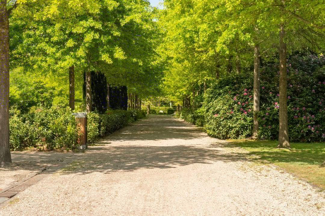 Foto 37 van Laan 1940-1945 4