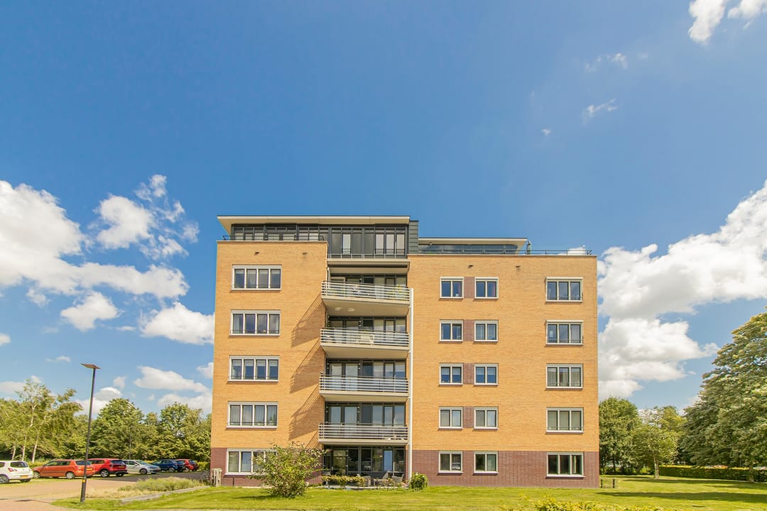 Foto 1 van Frans Hals 6