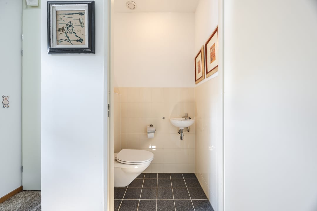 Foto 13 van Zilveresdoorn 27