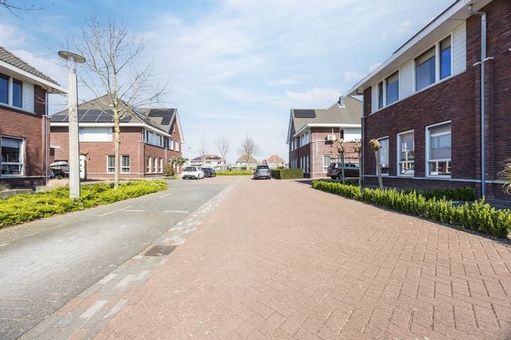 Foto 27 van Zilveresdoorn 27