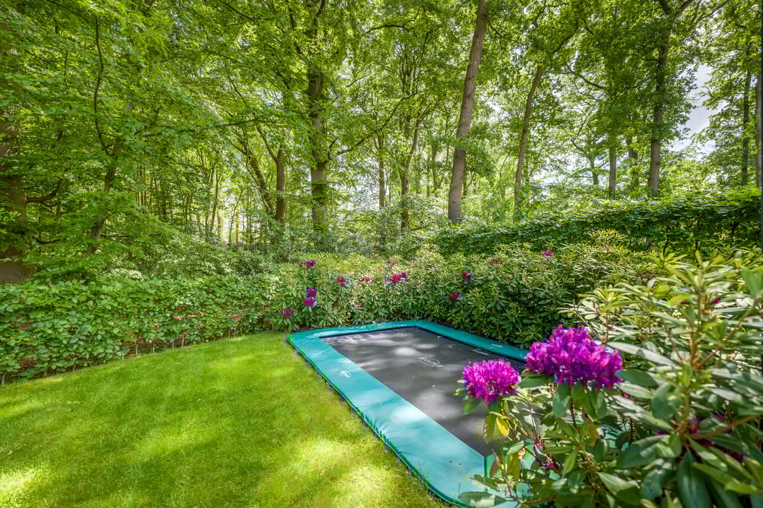 Photo 52 of Struikheidelaan 16