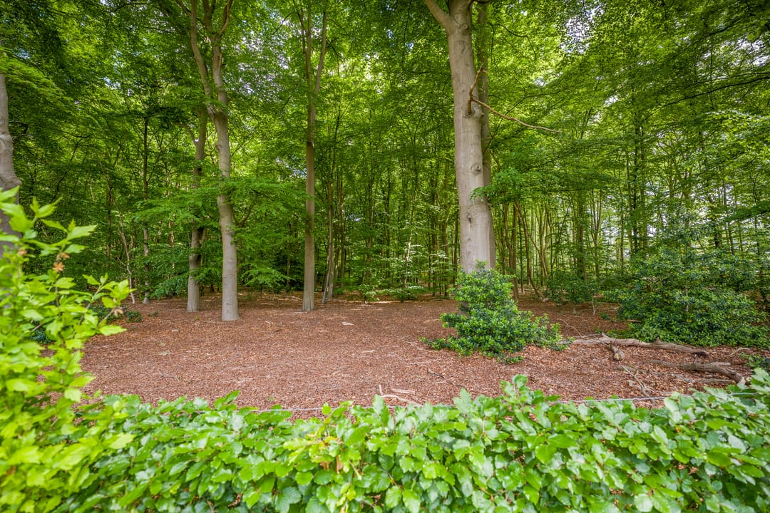 Photo 56 of Struikheidelaan 16