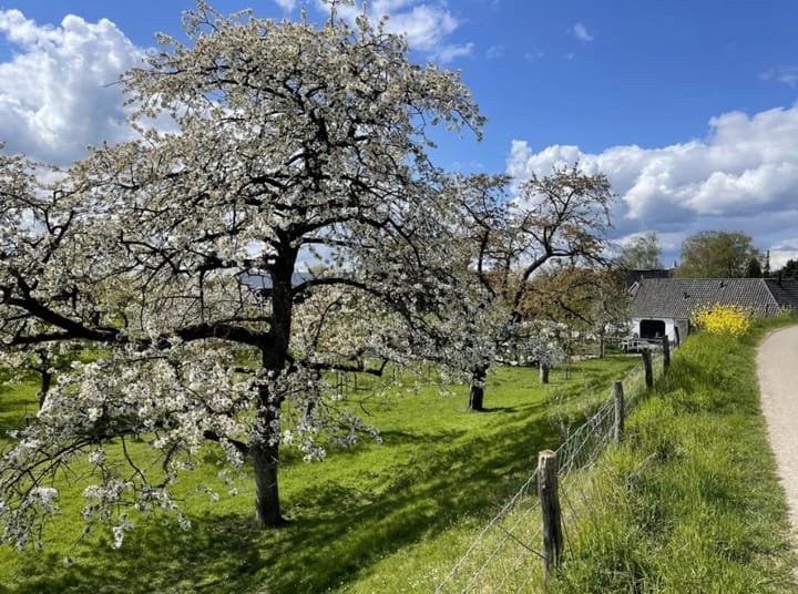 Foto 4 van Bouwkavel (Bouwnr. 3)