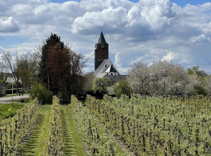 Photo 3 of Bouwkavel (Bouwnr. 5)