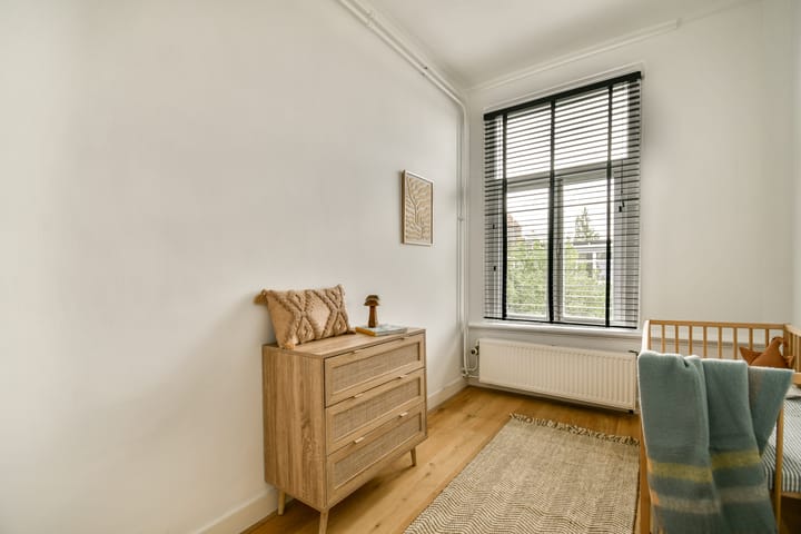 Foto 18 van Willemsparkweg 109-2