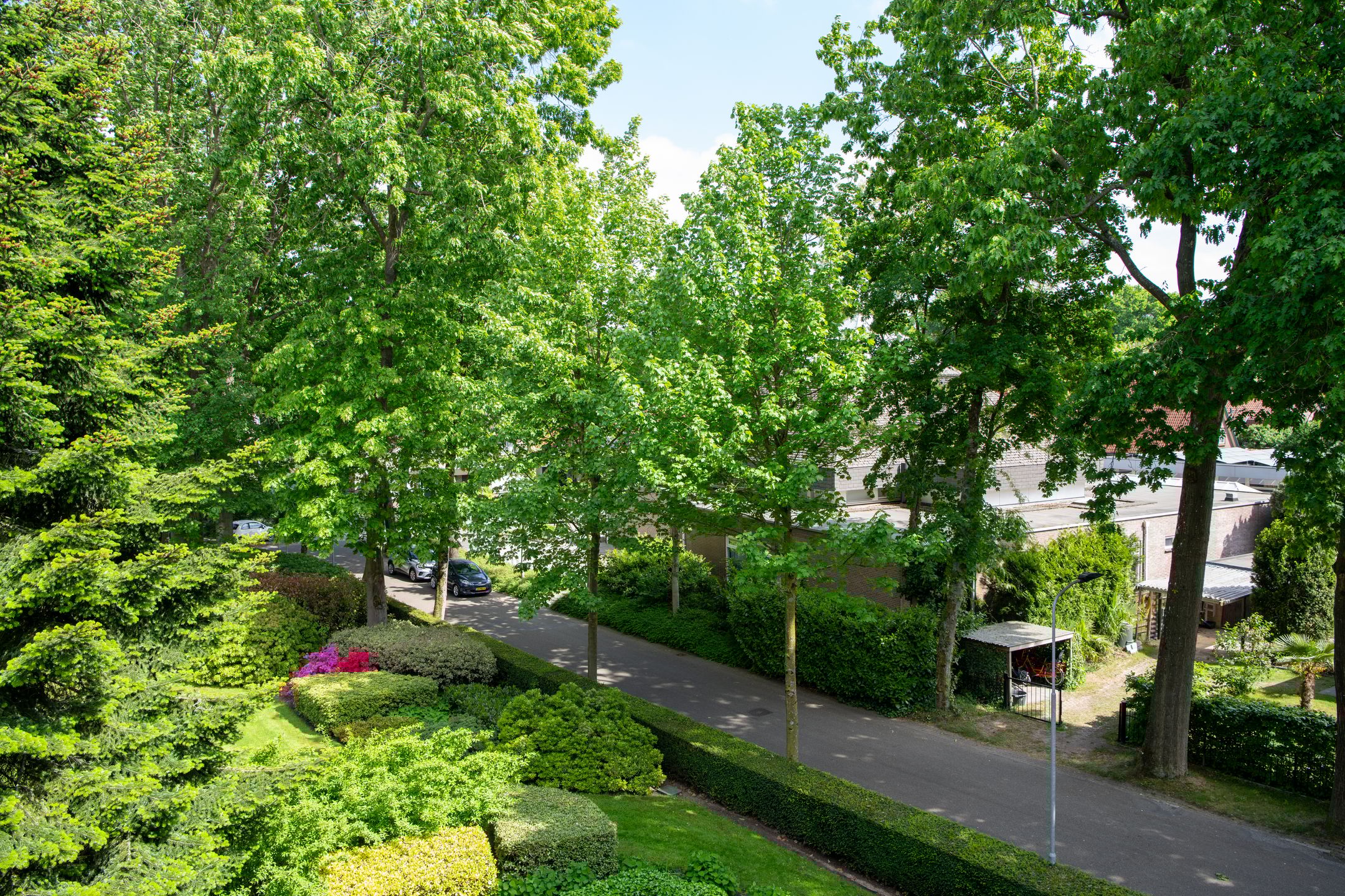 Foto 15 van Koningin Emmalaan 29-52