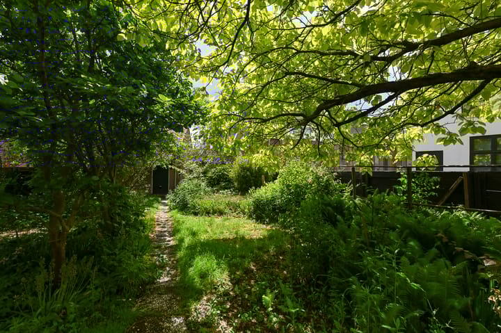 Photo 75 of Dorpsstraat 25