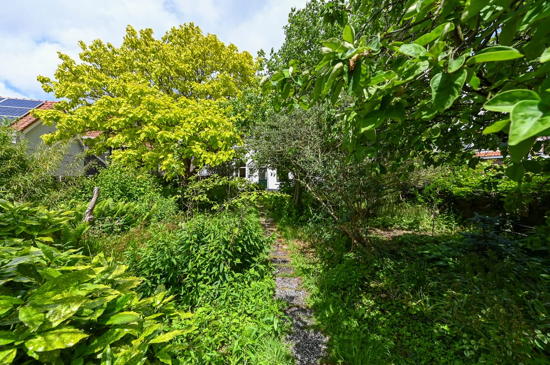 Foto 77 van Dorpsstraat 25