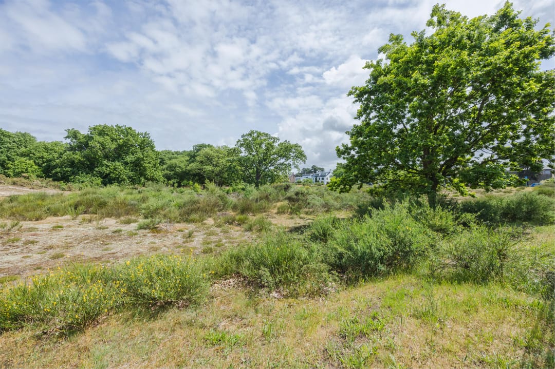 Foto 58 van Ridderspoorweg 228