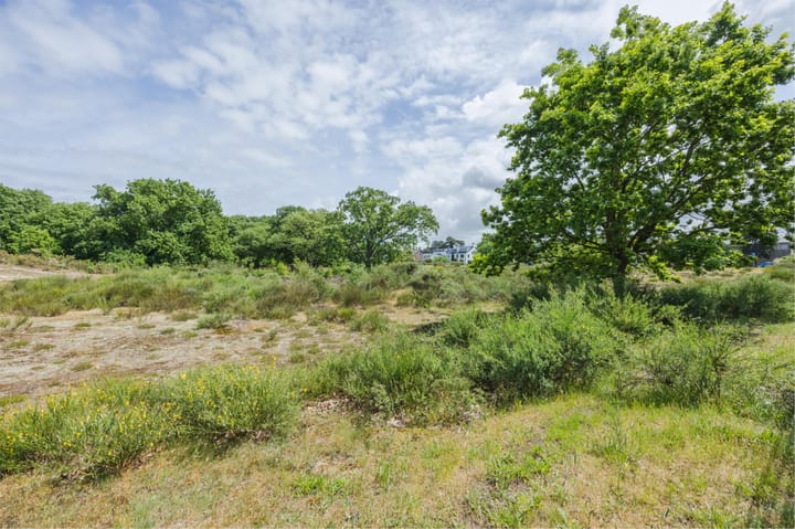 Foto 58 van Ridderspoorweg 228