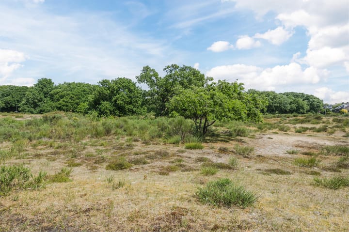 Foto 57 van Ridderspoorweg 228