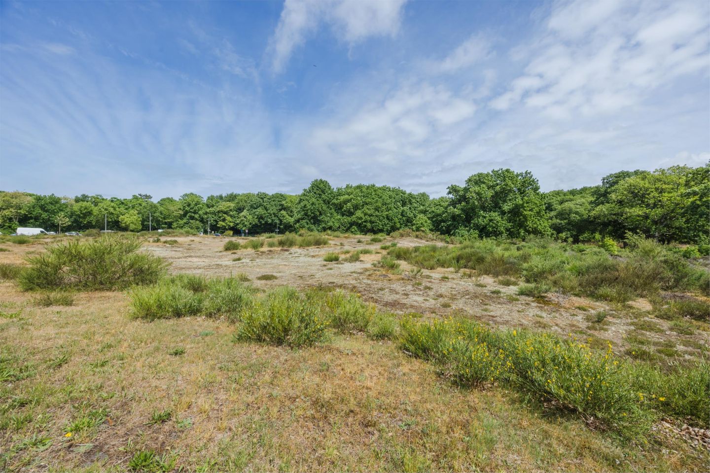 Foto 59 van Ridderspoorweg 228