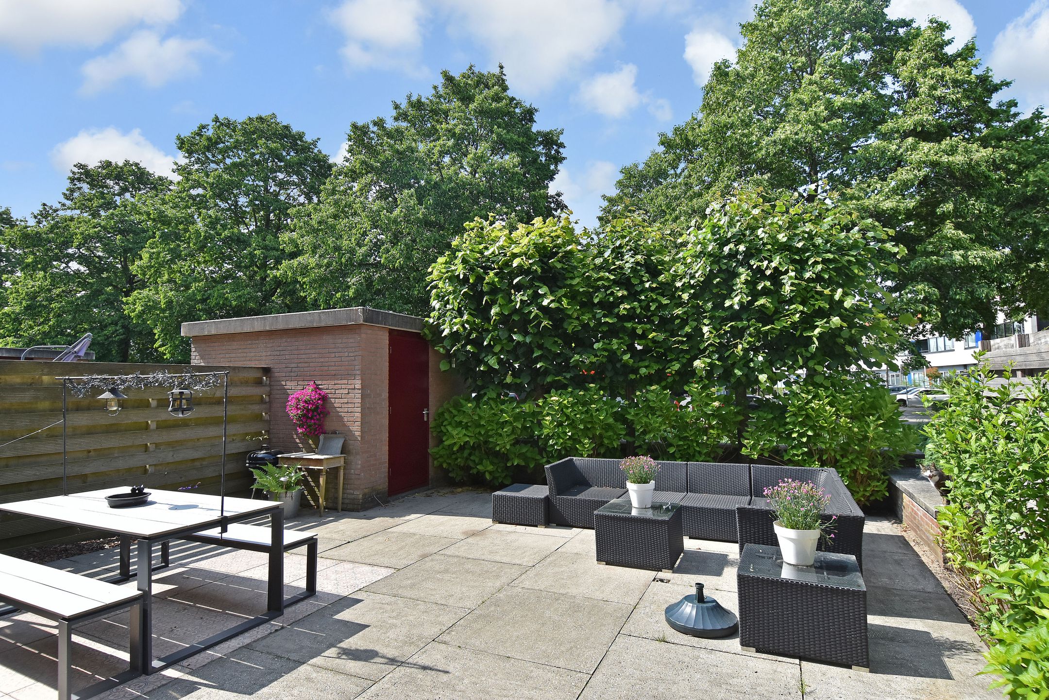 Photo 21 of Wengéhout 26