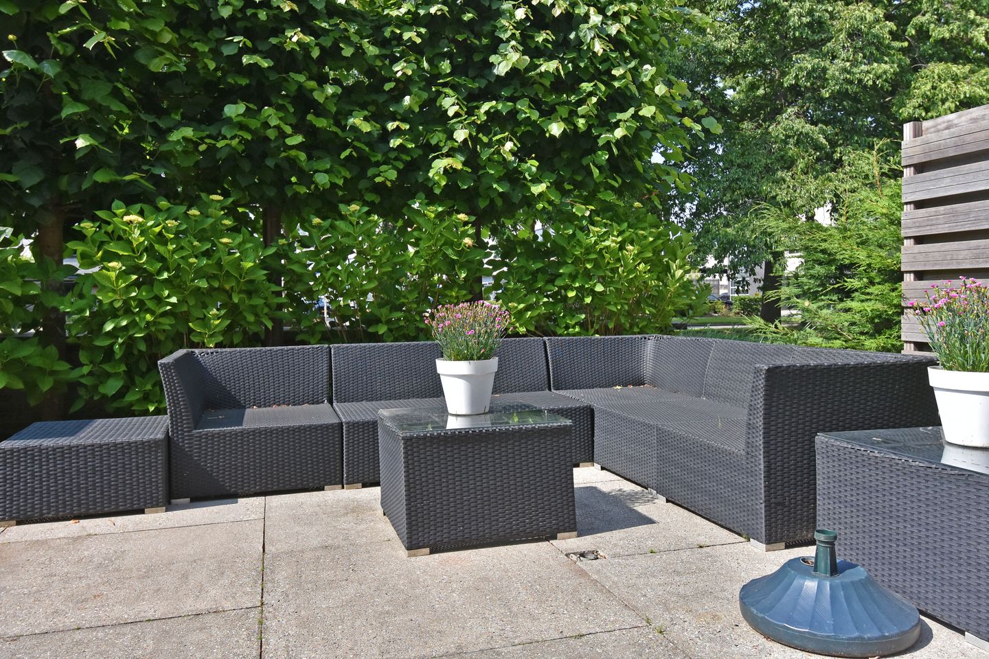 Photo 25 of Wengéhout 26