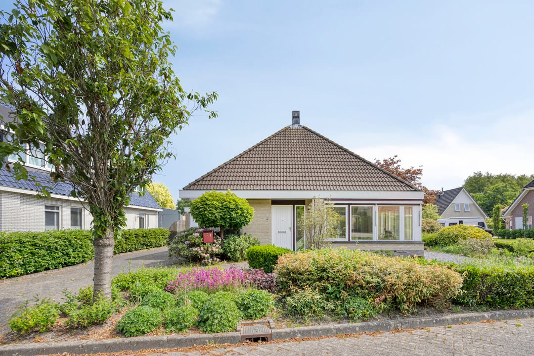 Foto 2 van Blauwmaad 3