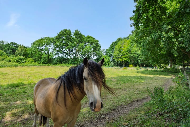 Foto 65 van Poirtersstraat 12
