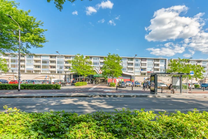 Foto 29 van Predikherenlaan 12