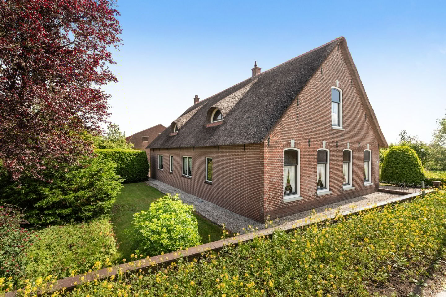 Dorp 225 main image