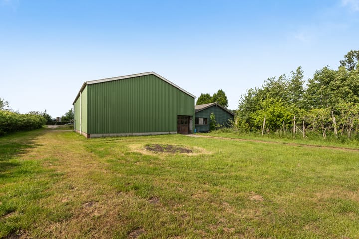 Foto 25 van Dorp 225