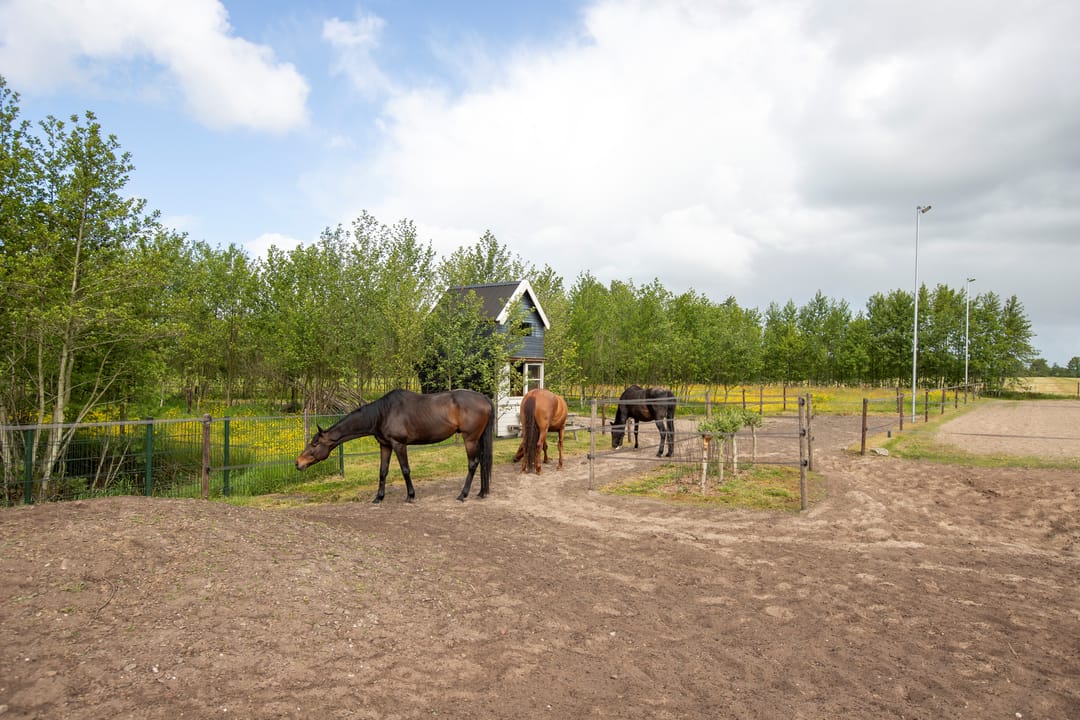 Foto 43 van Provincialeweg 173