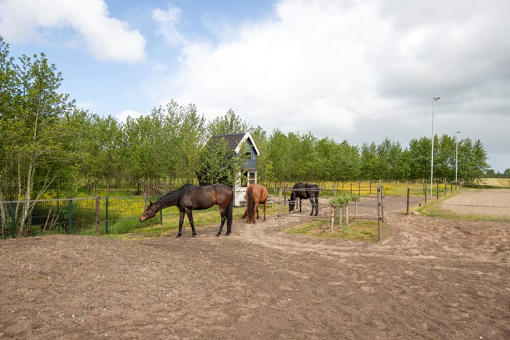 Foto 43 van Provincialeweg 173