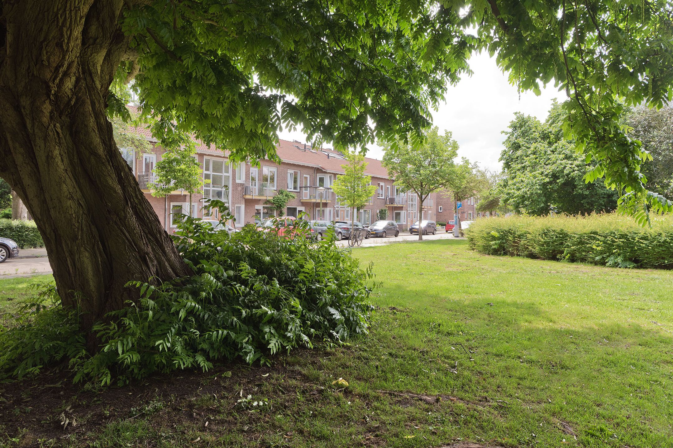 Photo 21 of Medemblikstraat 50-1