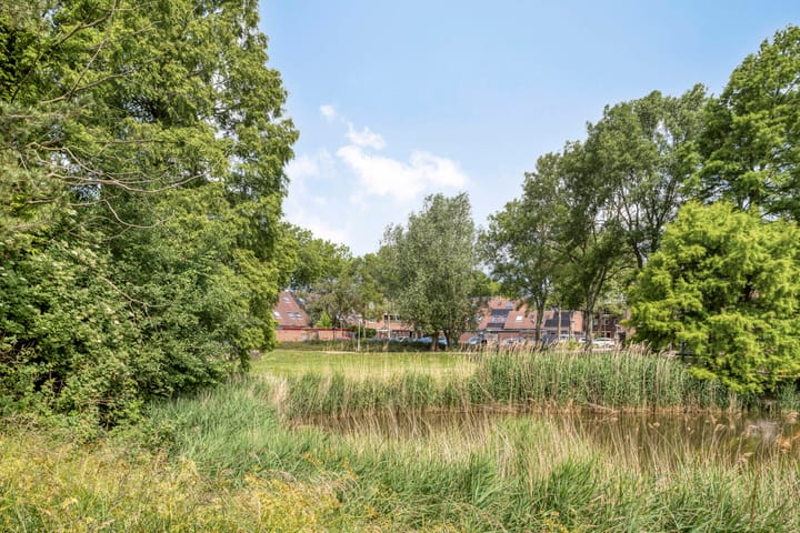 Foto 31 van Kwikstaartveld 38