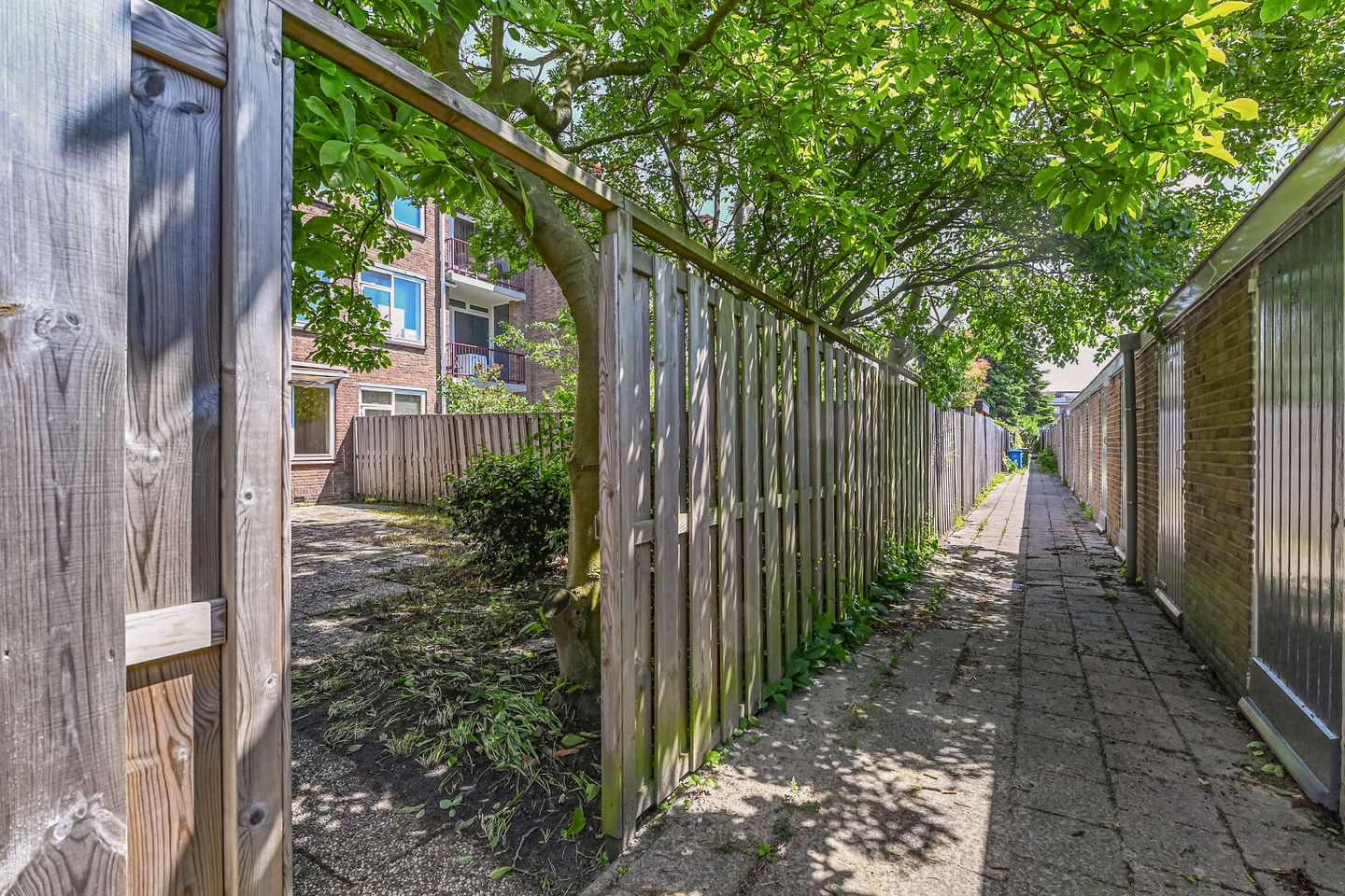 Foto 19 van Paulus Potterlaan 99