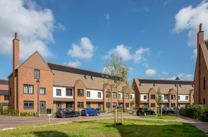 Photo 2 of Thomas Morelaan 133