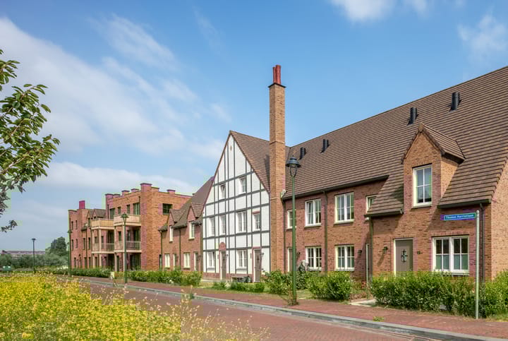 Photo 3 of Thomas Morelaan 133