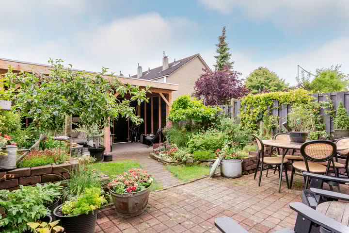 Photo 30 of Oostkaap 3