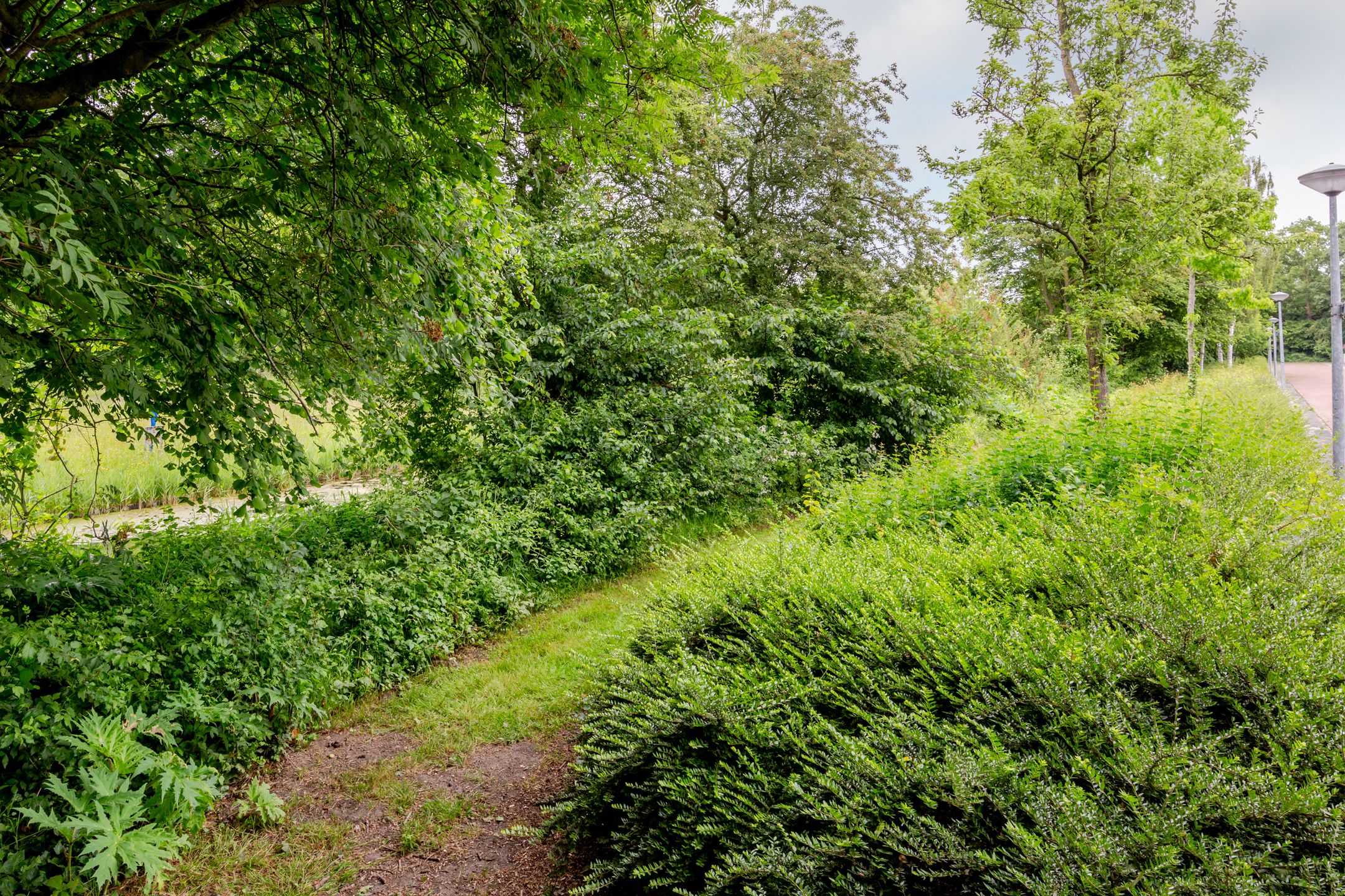 Foto 39 van Oostkaap 3